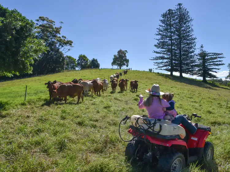 Second view of Homely house listing, 1150 Mount Mee Road, Mount Mee QLD 4521