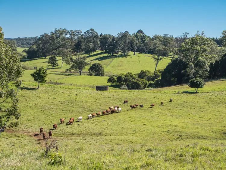 Third view of Homely house listing, 1150 Mount Mee Road, Mount Mee QLD 4521