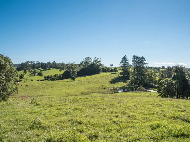 Fourth view of Homely house listing, 1150 Mount Mee Road, Mount Mee QLD 4521