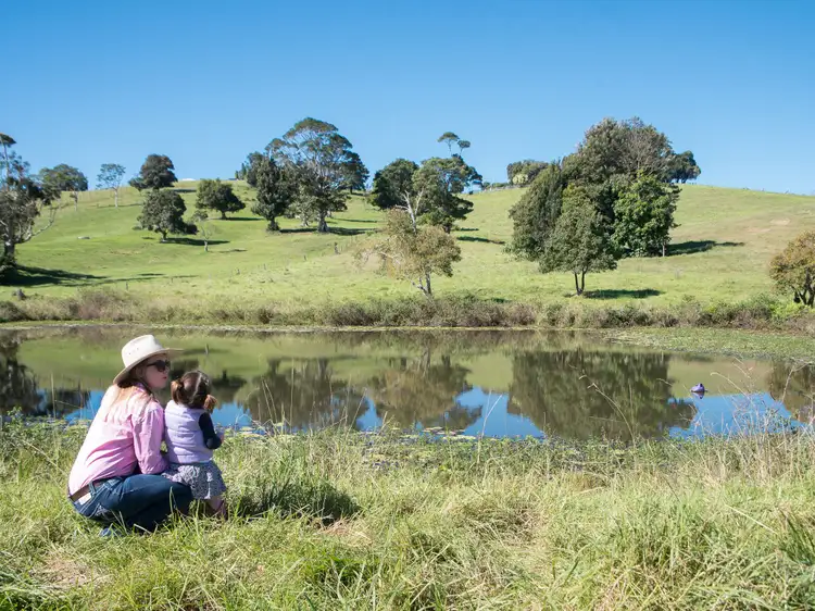 Sixth view of Homely house listing, 1150 Mount Mee Road, Mount Mee QLD 4521