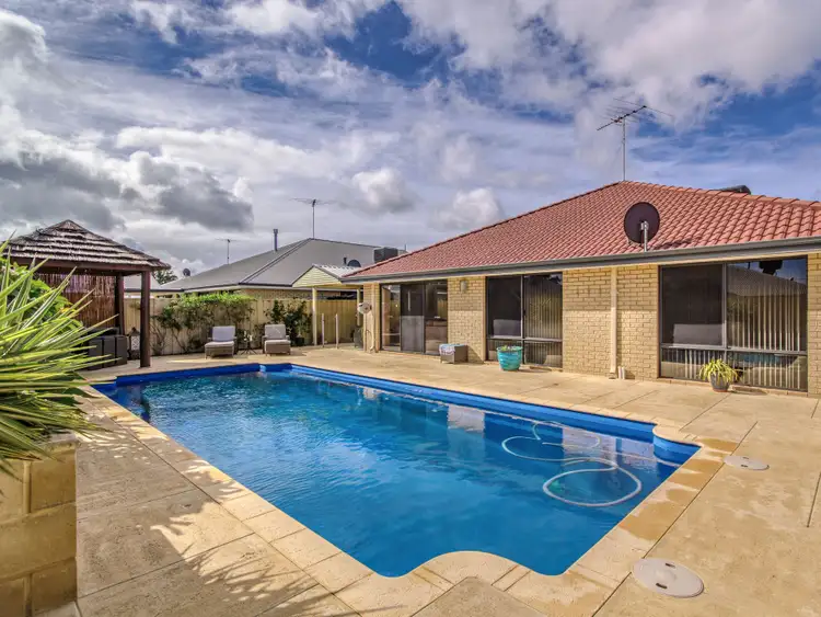 Main view of Homely house listing, 24 Scarab Court, Halls Head WA 6210