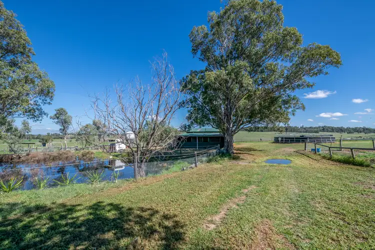 Sixth view of Homely rural property listing, 1064D Middle Falbrook Road, Singleton NSW 2330
