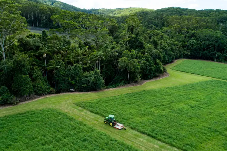 Sixth view of Homely rural property listing, 53 Shrapnel Road, Cooloolabin QLD 4560