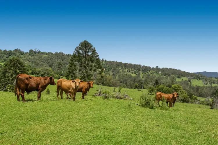 780 Maleny Kenilworth Road, Curramore QLD 4552