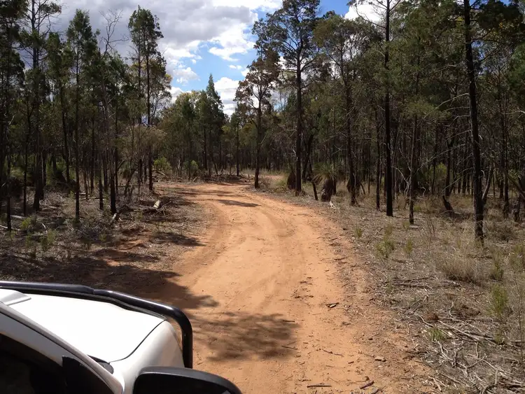 Fifth view of Homely rural property listing, Lot 56 Stonehenge Road, Stonehenge QLD 4357