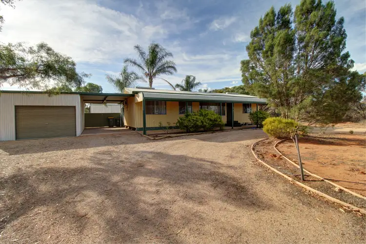 692 Thiele Road, Loveday SA 5345