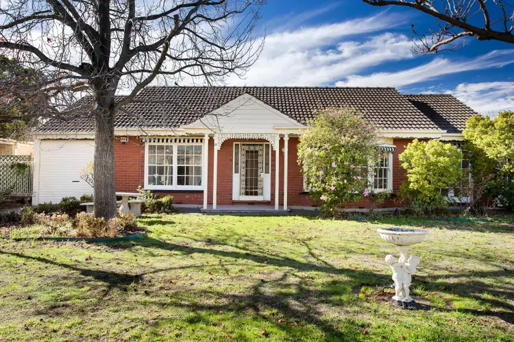 23 Windermere Avenue, Novar Gardens SA 5040