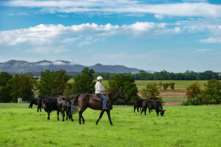 Third view of Homely rural property listing, 124 Jacks Road, Gloucester NSW 2422