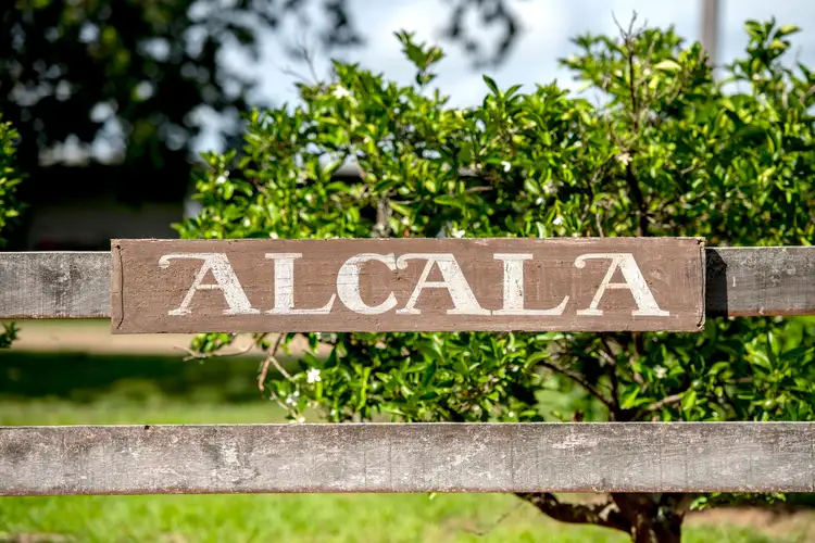 Fifth view of Homely rural property listing, 124 Jacks Road, Gloucester NSW 2422