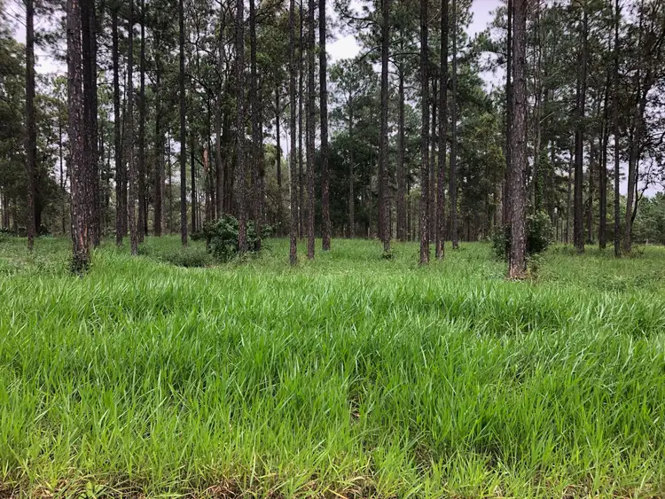 Second view of Homely land listing, 0 Arbortwenty Five Road, Glenwood QLD 4570