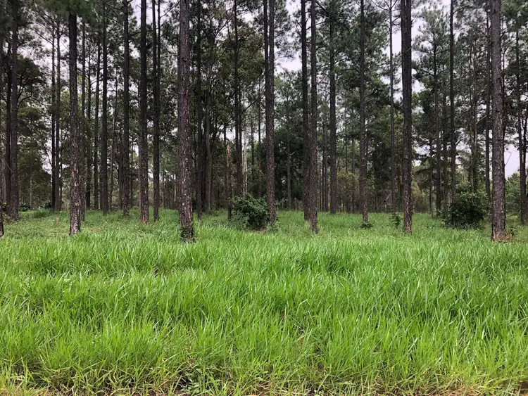 Third view of Homely land listing, 0 Arbortwenty Five Road, Glenwood QLD 4570