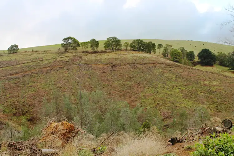 Fourth view of Homely rural property listing, 'Peile' 2 Old Central Road, Mirboo VIC 3871