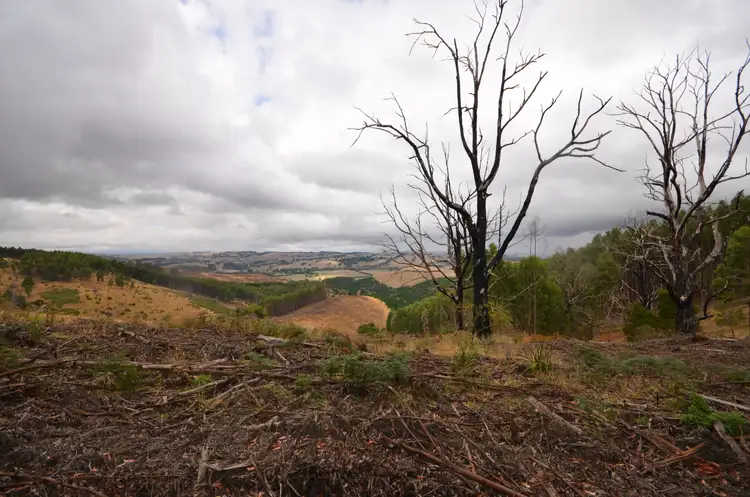 Third view of Homely rural property listing, 'Kenny' 428 Forresters Road, Hallston VIC 3953