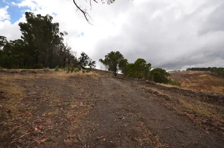 Fifth view of Homely rural property listing, 'Kenny' 428 Forresters Road, Hallston VIC 3953