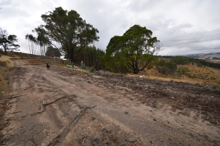 Sixth view of Homely rural property listing, 'Kenny' 428 Forresters Road, Hallston VIC 3953