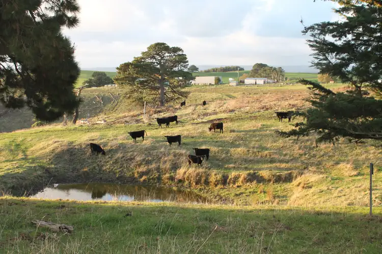 Sixth view of Homely rural property listing, 'Bright' Buffalo North Road, Buffalo VIC 3958