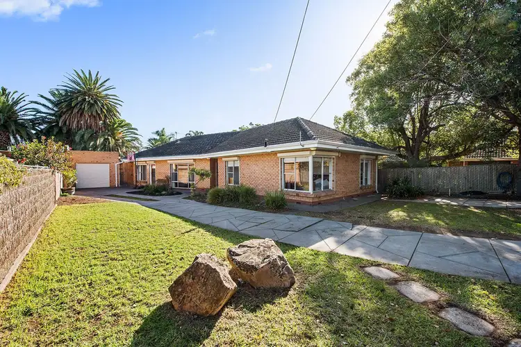 40 Bransby Avenue, Plympton SA 5038