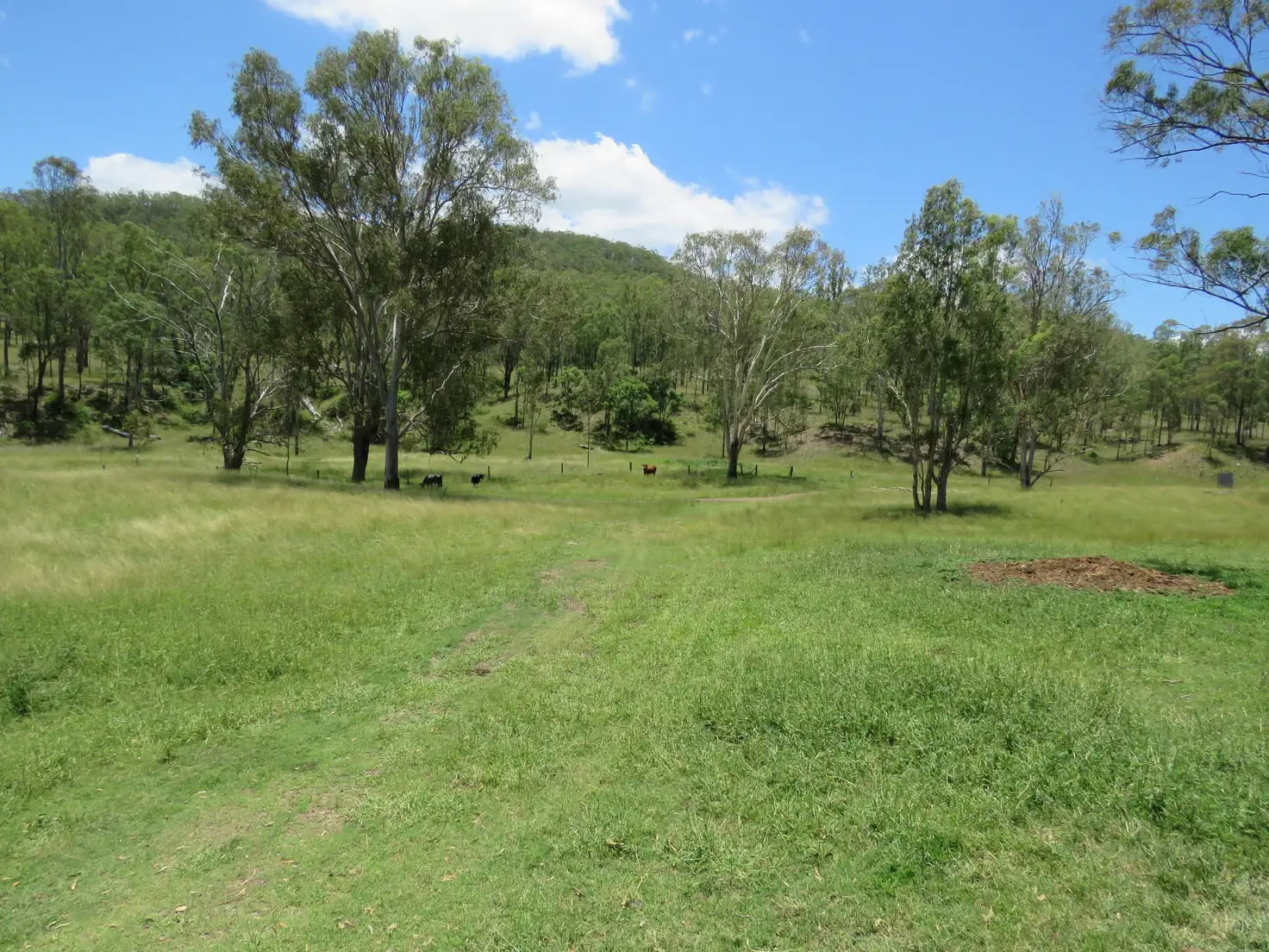 Main view of Homely rural property listing, Address available on request