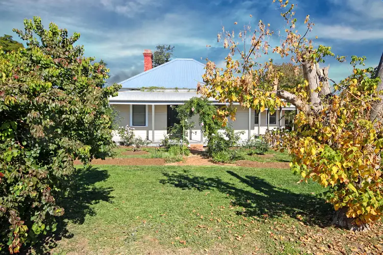 Third view of Homely house listing, 91 St Aubins Street, Scone NSW 2337