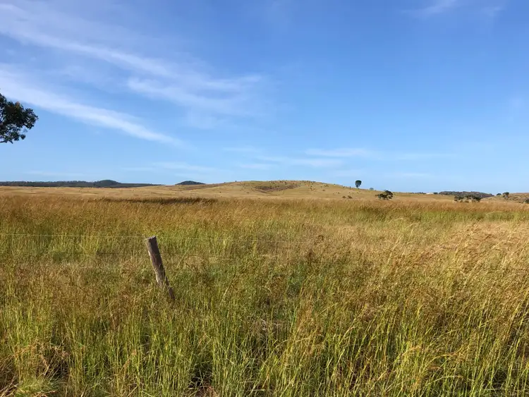 Sixth view of Homely rural property listing, 1031 Darts Creek Road, Darts Creek QLD 4695