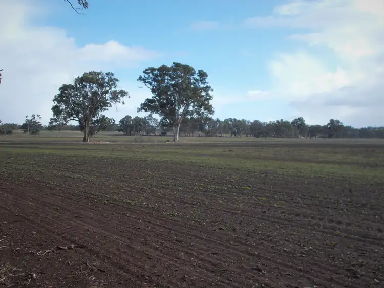 Second view of Homely rural property listing, Section 64 Pigeon Flat Road, Mundulla SA 5270