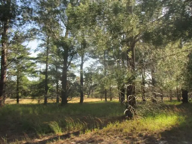 1690 Gnowangerup-Tambellup Road, Tambellup WA 6320