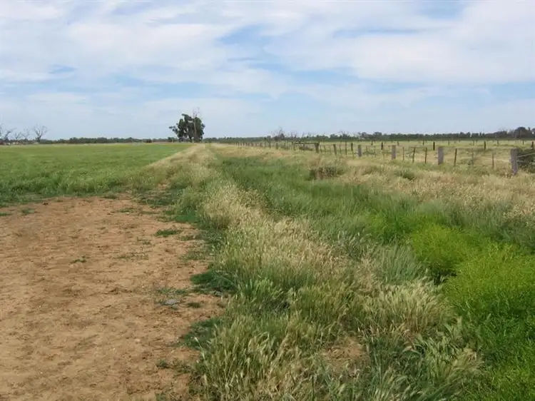 Seventh view of Homely rural property listing, - Thomas Road, Dingee VIC 3571