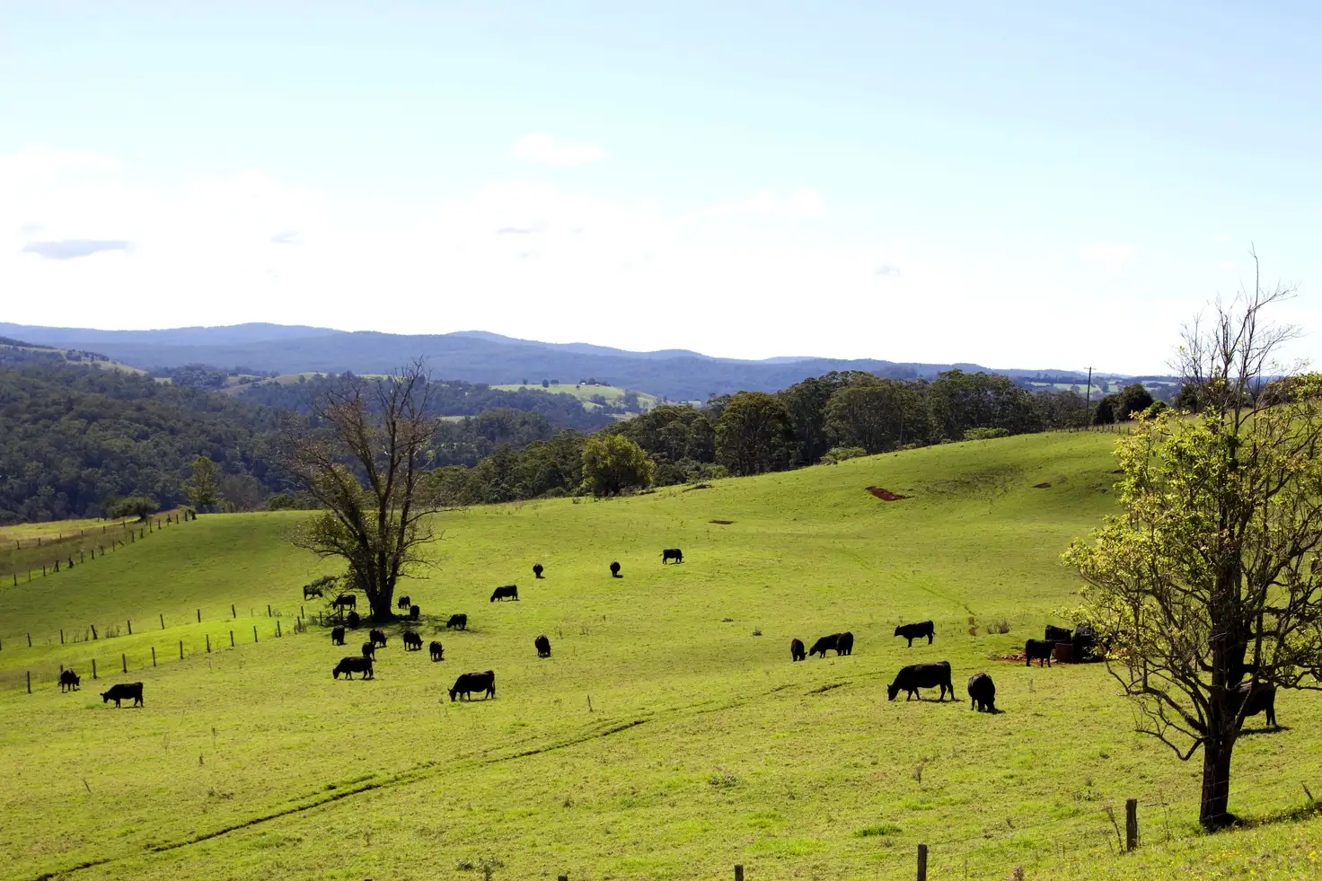 Main view of Homely rural property listing, Address available on request