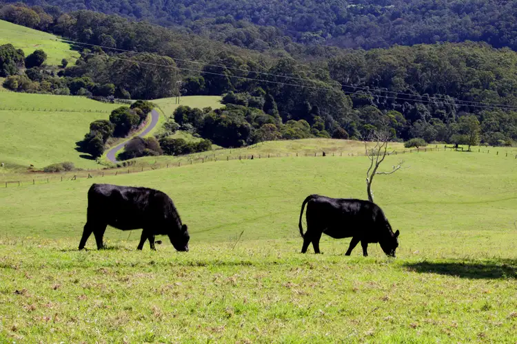 Third view of Homely rural property listing, Address available on request