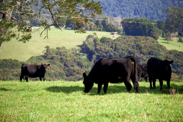 Sixth view of Homely rural property listing, Address available on request