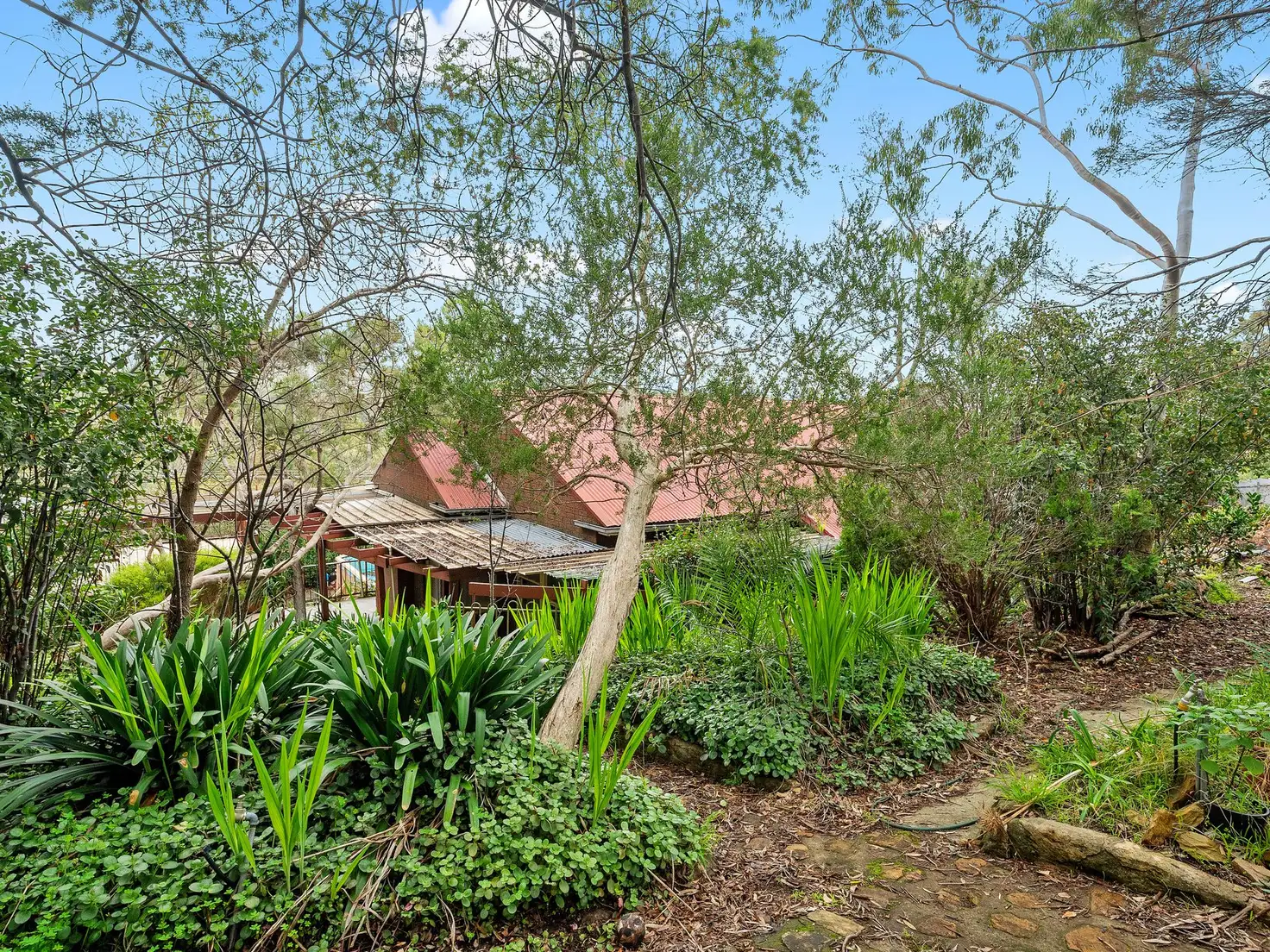 Main view of Homely house listing, 31 Sycamore Crescent, Hawthorndene SA 5051