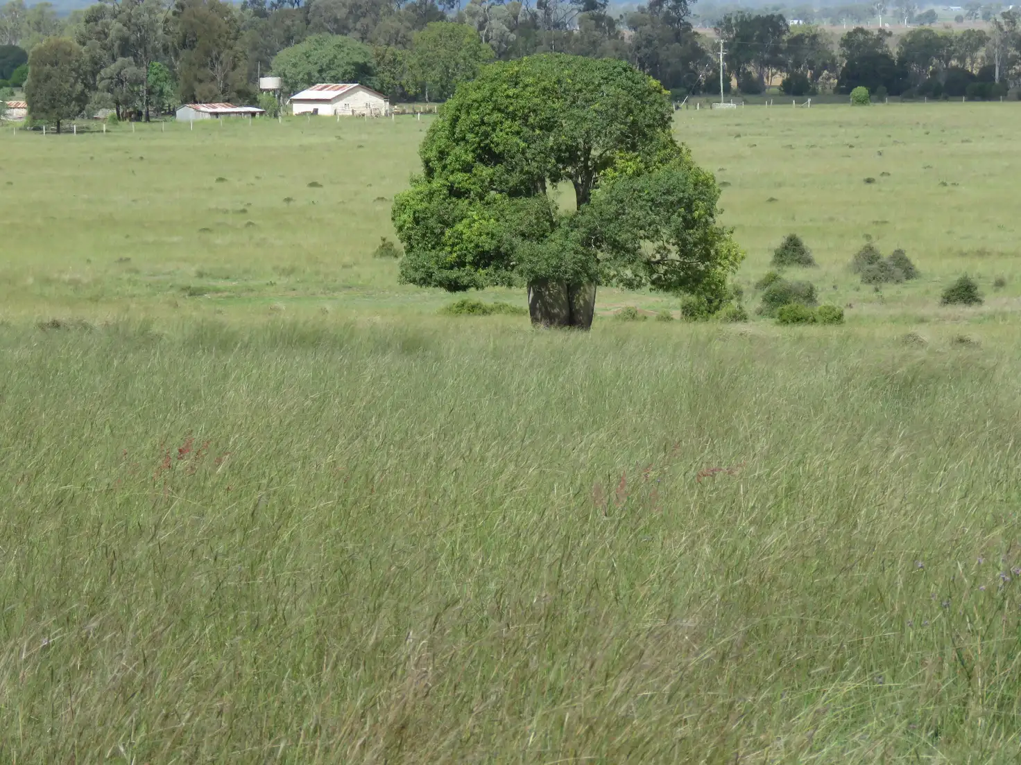 Main view of Homely rural property listing, Lots 1-3 Friebergs Road, Murgon QLD 4605