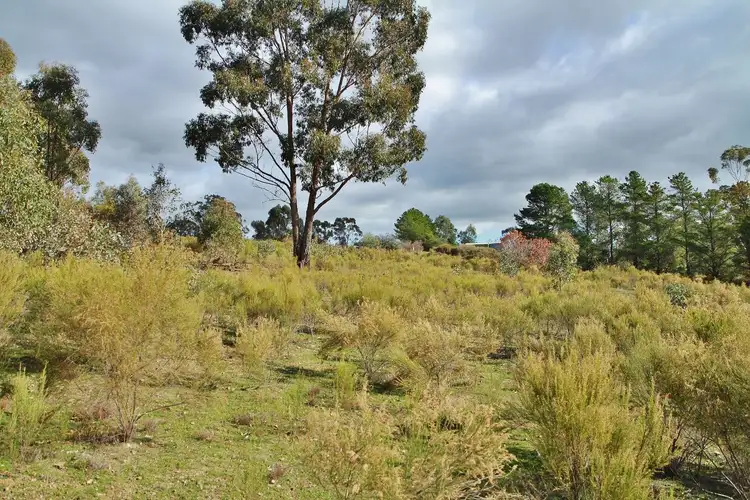 Seventh view of Homely land listing, 23 Yemms Lane, Heathcote VIC 3523