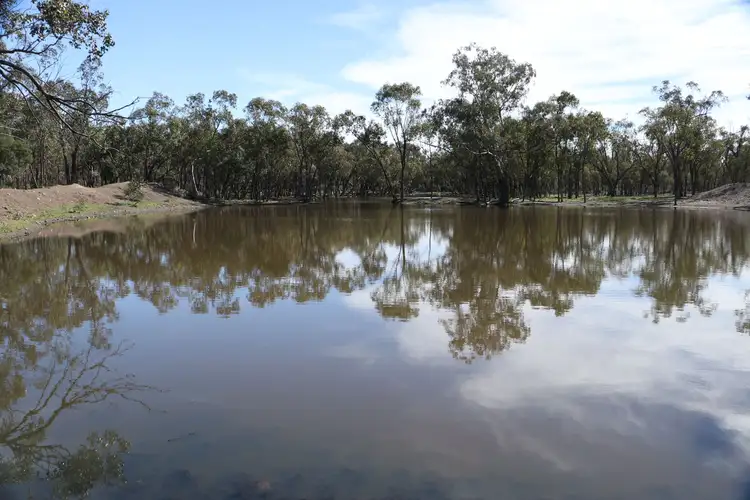 Sixth view of Homely rural property listing, 1048 Foyleview Road, Dunkeld QLD 4465