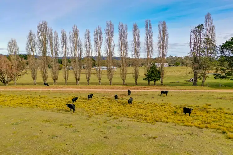 Second view of Homely rural property listing, 2097 Kybeyan Road, Kybeyan NSW 2631