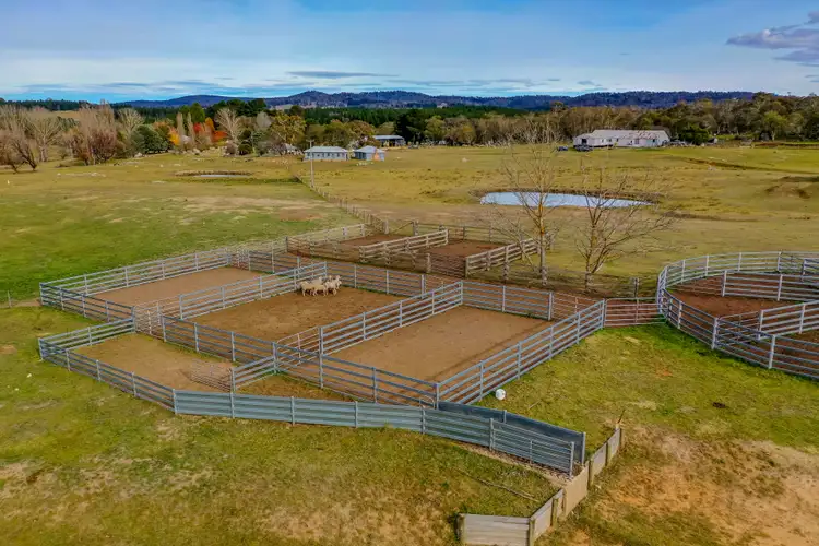 Third view of Homely rural property listing, 2097 Kybeyan Road, Kybeyan NSW 2631