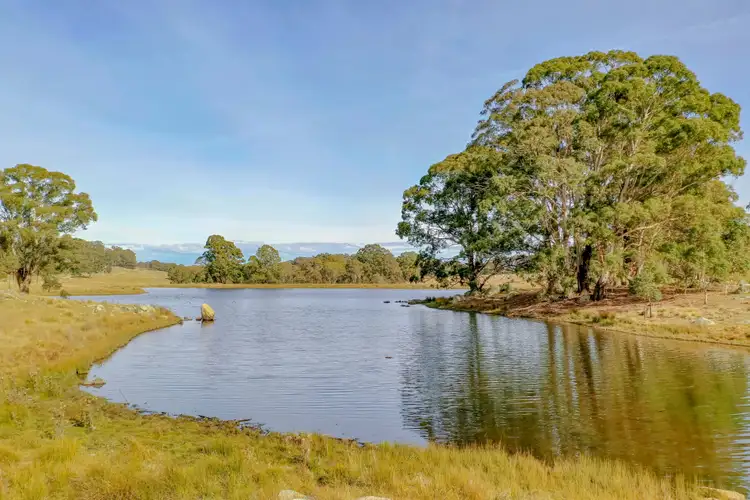 Seventh view of Homely rural property listing, 2097 Kybeyan Road, Kybeyan NSW 2631