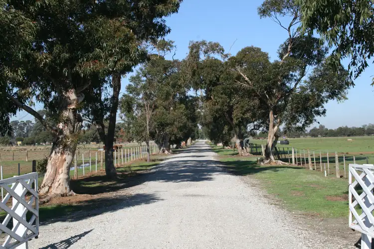 Second view of Homely rural property listing, 1239 McBain Road, Tongala VIC 3621