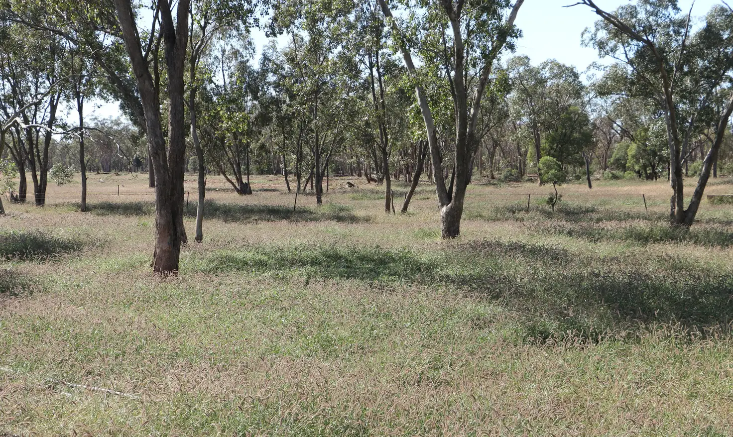 Main view of Homely rural property listing, 0 Tartulla, Mitchell QLD 4465