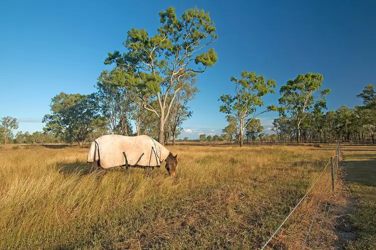 Second view of Homely rural property listing, 180 Pink Lily Road, Pink Lily QLD 4702