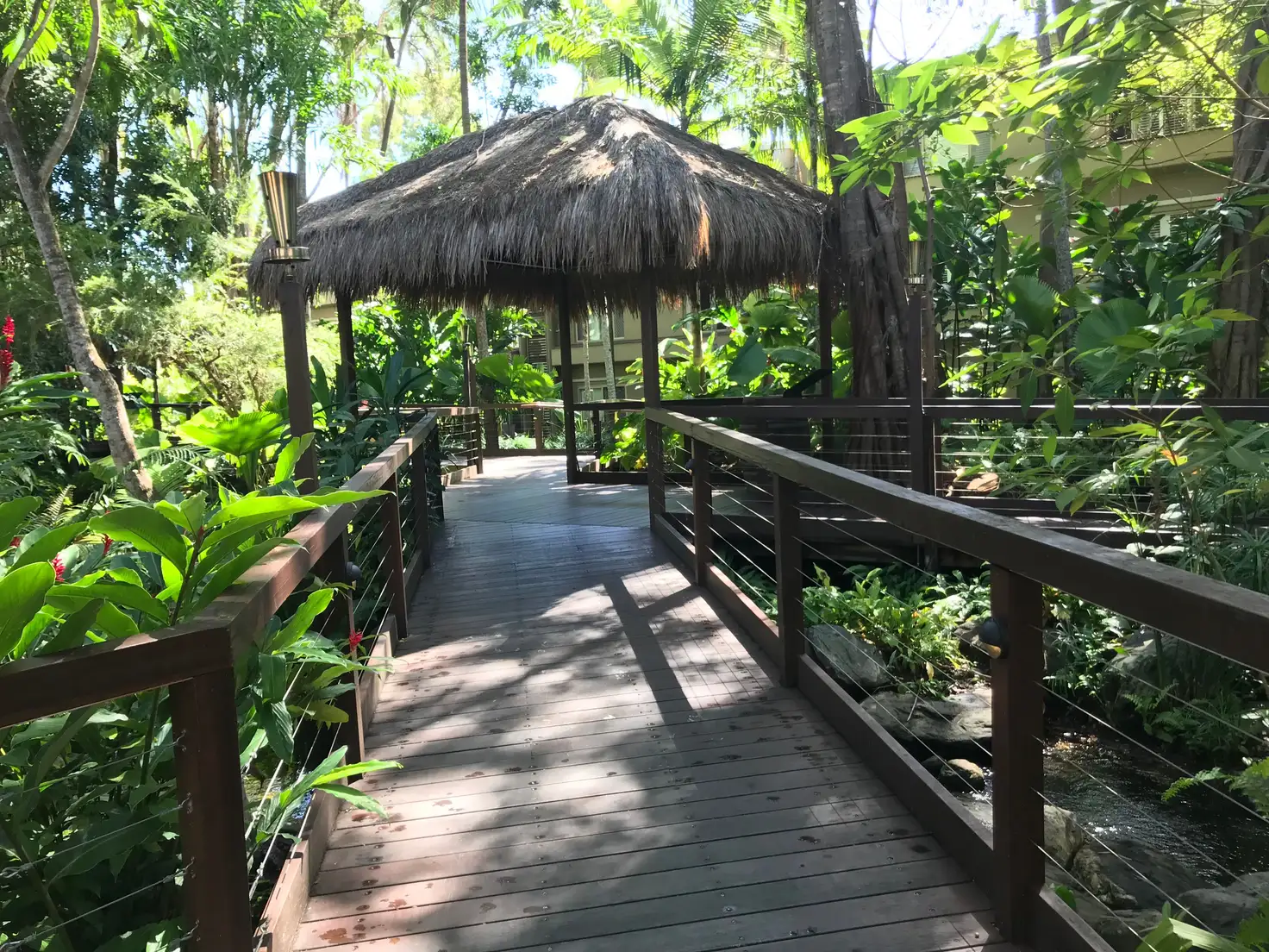Main view of Homely unit listing, D332/316 Port Douglas Road, Port Douglas QLD 4877