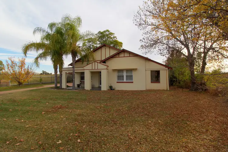 410 Tarcoola Street, Renmark SA 5341