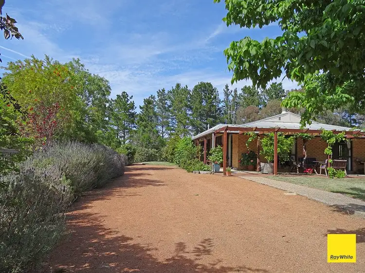 Main view of Homely house listing, 89 Weeroona Drive, Wamboin NSW 2620