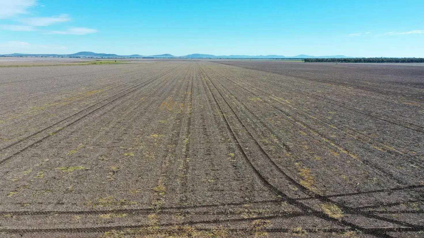 Main view of Homely rural property listing, 590 Round Hill Road "Inverary", Piallaway NSW 2342