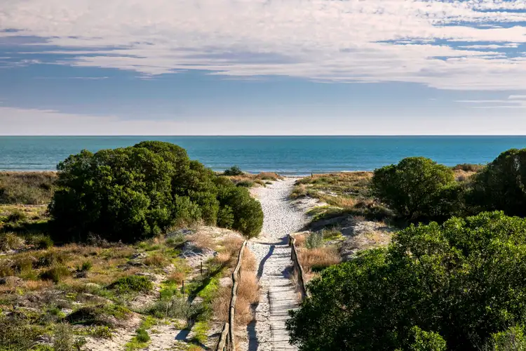 Fourth view of Homely house listing, 43 Wandana Terrace, Taperoo SA 5017