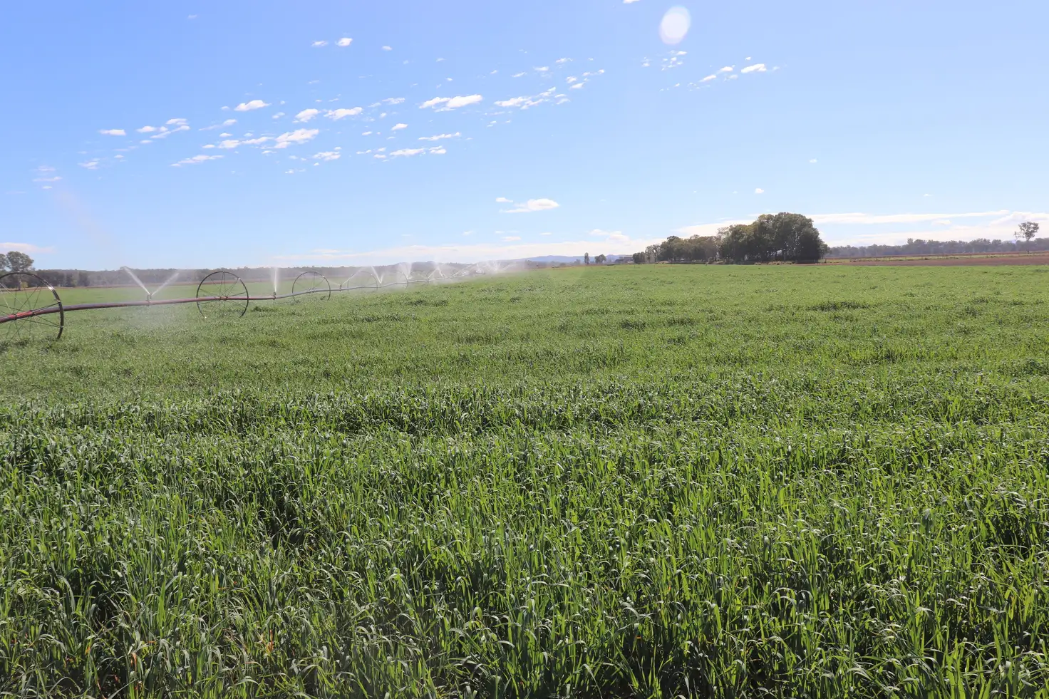 Main view of Homely rural property listing, 553 Airport Road, Monto QLD 4630