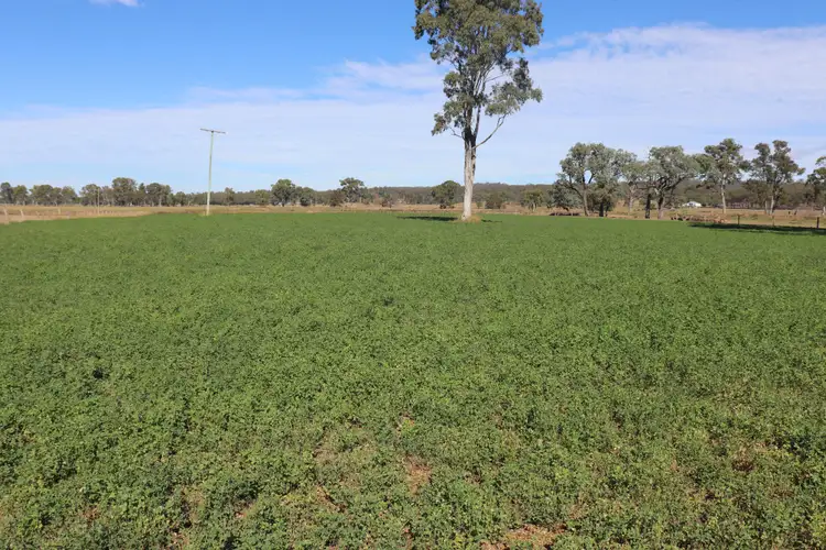 Second view of Homely rural property listing, 553 Airport Road, Monto QLD 4630