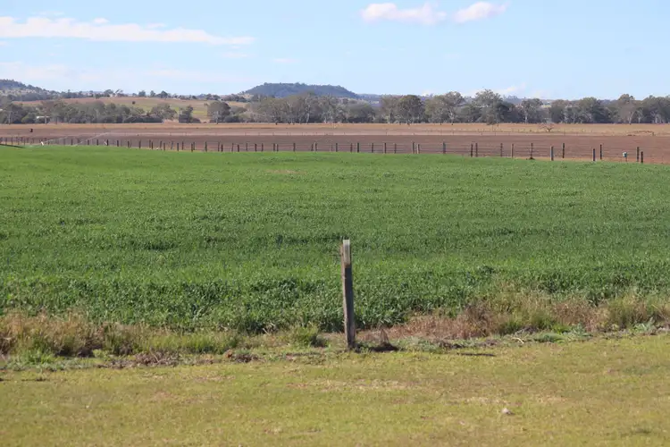 Third view of Homely rural property listing, 553 Airport Road, Monto QLD 4630