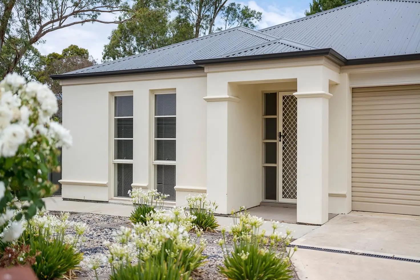 Main view of Homely house listing, 14 Graham Close, Mount Barker SA 5251