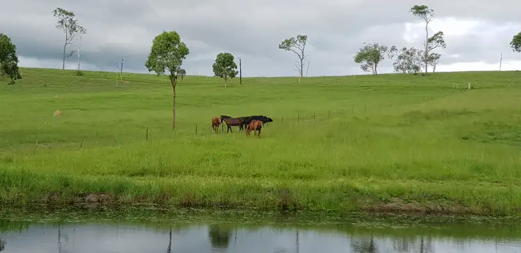 Second view of Homely house listing, 161 Dead Horse Lane, Toogoolawah QLD 4313